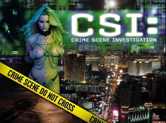 CSI pinball Translite