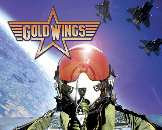 Gold Wings pinball Translite