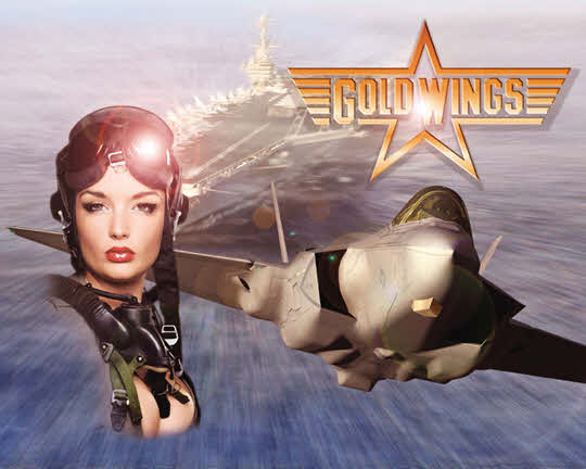 Gold Wings pinball Translite