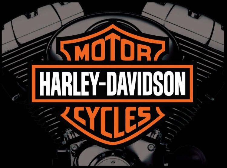 Harley Davidson Stern pinball Translite