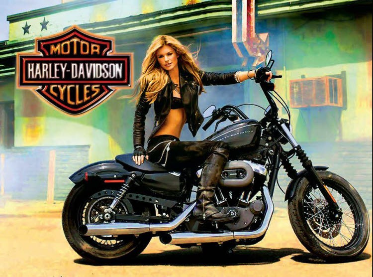 Harley Davidson Stern pinball Translite