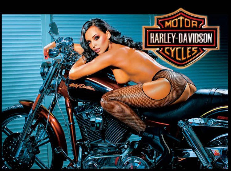 Harley Davidson Stern pinball Translite