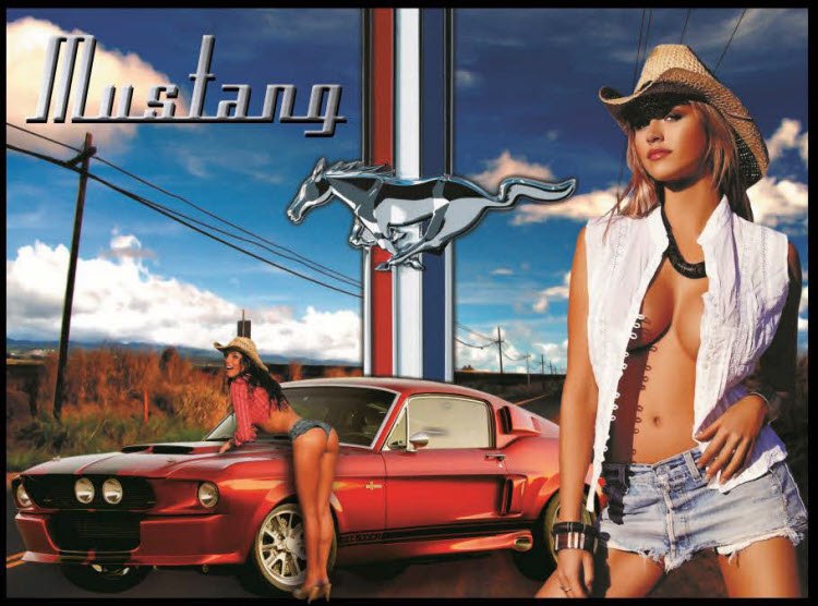 Mustang pinball Translite