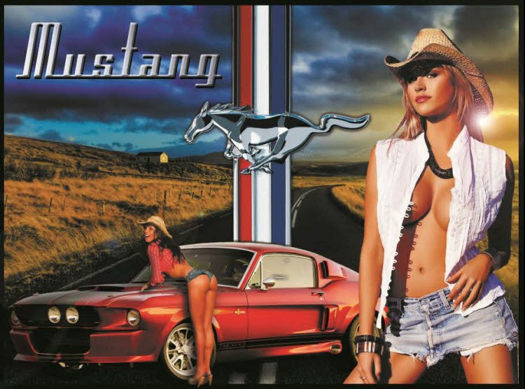 Mustang pinball Translite