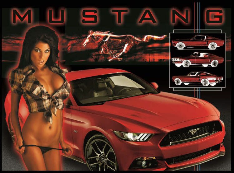 Mustang pinball Translite