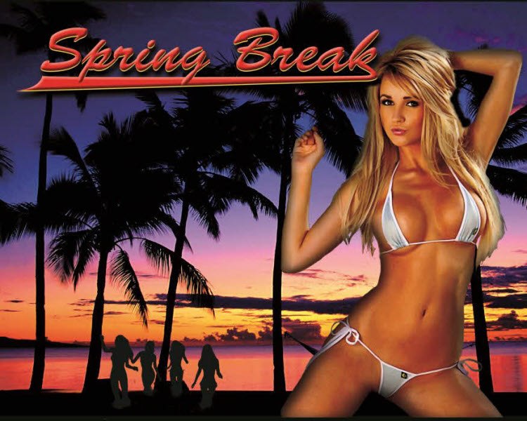 Spring Break pinball Translite